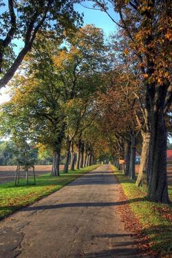 Foto - Etagenwohnung zur Miete in Preußisch Oldendorf