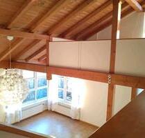 Einzigartiges Architektenhaus mit Einliegerwohnung - Schieder-Schwalenberg