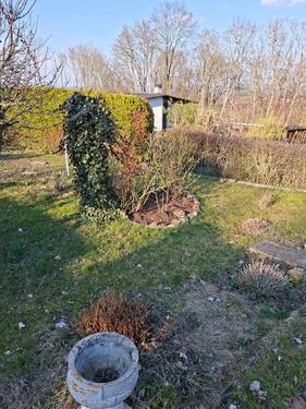 Foto - Grundst&uuml;ck in Gotha zur Miete