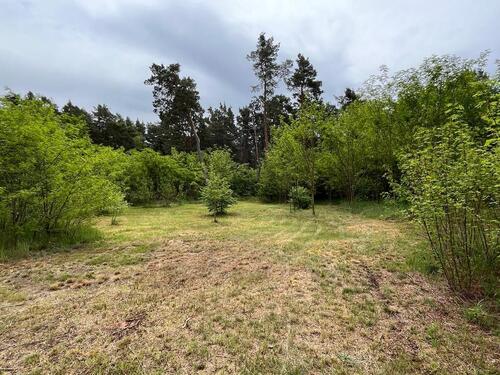 Foto - Natur pur - Freizeitgrundstücke mit altem Haus, nahe Berlin