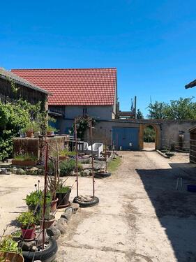 Foto - Einfamilienhaus in Beetzsee