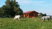 Foto - Ferienhaus last Minute 24% - 240,00 EUR Kaltmiete,