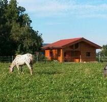 Ferienhaus last Minute 24% - 240,00 EUR Kaltmiete, in Berghülen (PLZ: 89180)