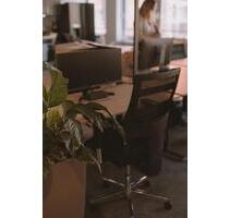 Zentrumsnaher Schreibtischplatz - 4 Plätze, TOP-Ausstattung - Hamburg Hamburg-Mitte