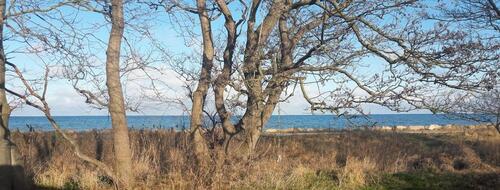 Foto - 3 Zimmer Einfamilienhaus zur Miete in Schönberg (Holstein)