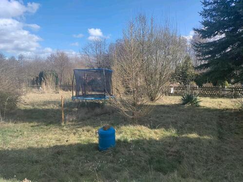 Foto - Grundst&uuml;ck zur Miete in Altenburg