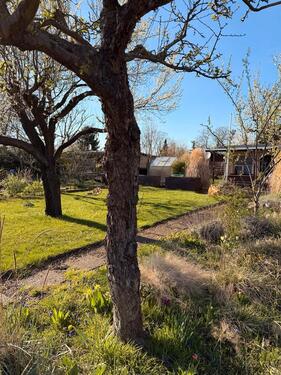 Foto - Grundst&uuml;ck zur Miete in Cottbus