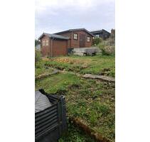 Pachtgarten abzugeben - 123,00&nbsp;EUR Kaltmiete, ca.&nbsp; 0,00&nbsp;m&sup2; in Johanngeorgenstadt (PLZ: 08349)