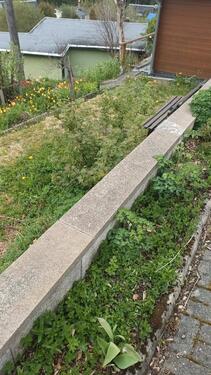 Foto - Grundst&uuml;ck zur Miete in Johanngeorgenstadt