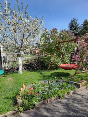 Foto - Grundst&uuml;ck zur Miete in Gera