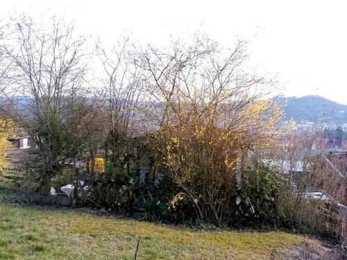 Foto - Grundst&uuml;ck in Eisenach