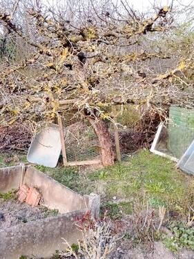 Foto - Grundst&uuml;ck in Eisenach zur Miete