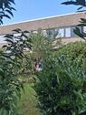 Foto - 4 Zimmer Reihenhaus zum Kaufen in Duisburg