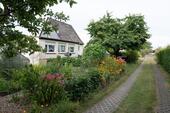 Foto - Haus mit Einliegerwohnung voll unterkellert in Wesendorf