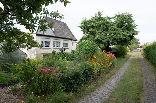 Foto - Haus mit Einliegerwohnung voll unterkellert in Wesendorf