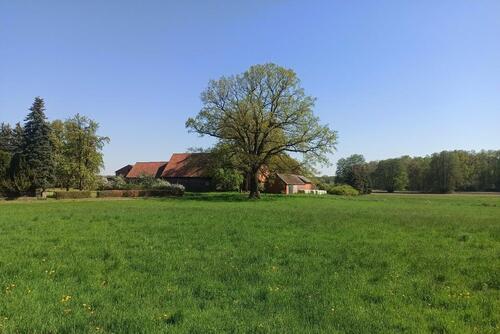 Foto - Ehemalige landwirtschaftliche Hofstelle