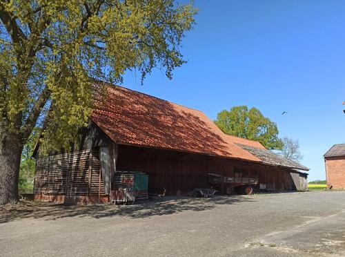 Foto - Einfamilienhaus in Schnega zum Kaufen