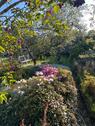 Foto - Kleingarten Leipzig Ost - 2.000,00&nbsp;EUR Kaltmiete, ca.&nbsp; 0,00&nbsp;m&sup2;