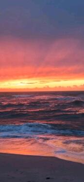 Foto - 1 Zi Apoartment in Hörnum - 450,00&nbsp;EUR Kaltmiete, ca.&nbsp; 28,00&nbsp;m&sup2;