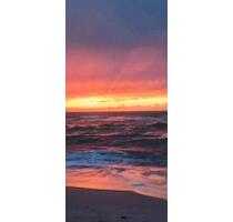 1 Zi Apoartment in Hörnum - 450,00&nbsp;EUR Kaltmiete, ca.&nbsp; 28,00&nbsp;m&sup2; in Hörnum (Sylt) (PLZ: 25997)