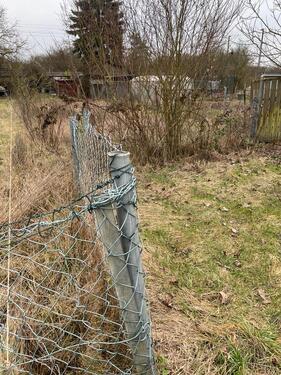 Foto - Grundst&uuml;ck zur Miete in Mainz