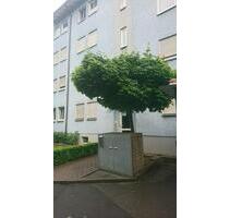 Schönes vollmöbeliertes 1 Zimmerapoartme in Schweinfurt zu verm - Würzburg Heuchelhof