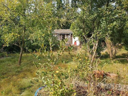 Foto - Grundst&uuml;ck zur Miete in Leipzig