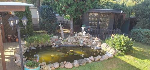 Foto - Einfamilienhaus zum Kaufen in Möckern