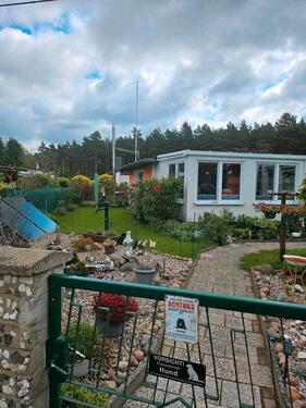 Foto - 3 Zimmer Bungalow zum Kaufen in Lenzen (Elbe)