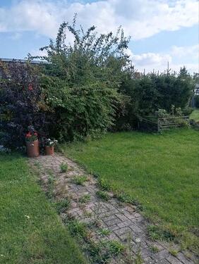 Foto - Grundst&uuml;ck zur Miete in Halle (Saale)