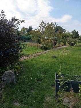 Foto - Grundst&uuml;ck in Halle (Saale)