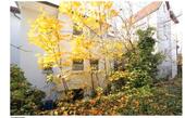 Foto - 9 Zimmer Mehrfamilienhaus, Wohnhaus zum Kaufen in Ebersbach an der Fils