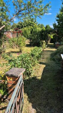 Foto - Grundstück zur Miete in Senftenberg