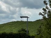 Foto - andere in Schwedt (Oder) zur Miete