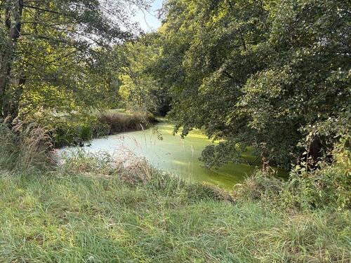 Foto - andere zur Miete in Wienhausen