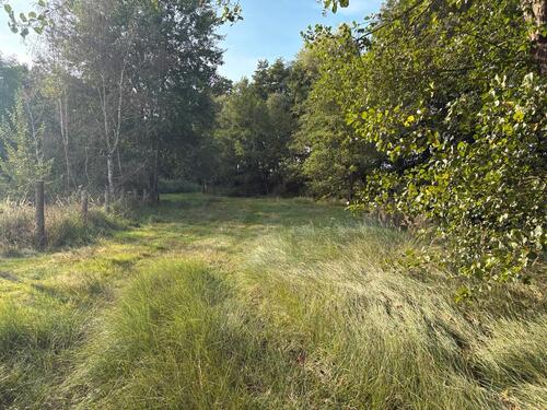 Foto - andere in Wienhausen