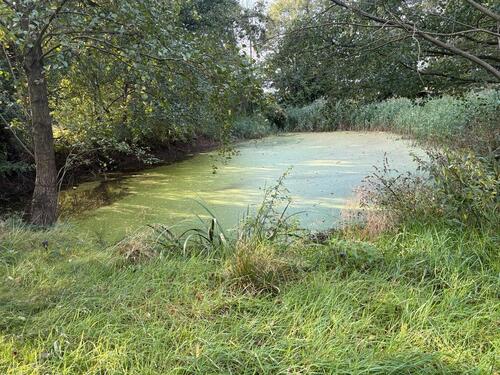 Foto - andere in Wienhausen zur Miete
