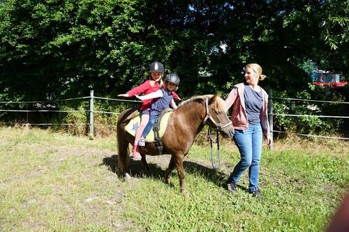 Foto - Ferienwohnung Bauernhof Hund Ostsee Fehmarn Urlaub 22.-28.03.2026