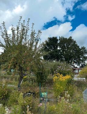 Foto - Grundst&uuml;ck in Lübeck zur Miete