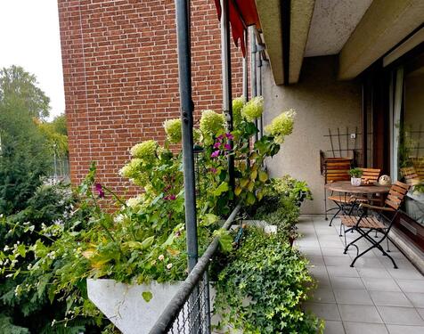 Foto - 1-ZW Untermiete, 2 J Balkon, Küche & Aufzug ohne Möbel 50 m²