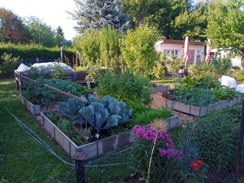 Foto - Grundst&uuml;ck in Lübbenau (Spreewald)