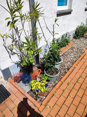 Foto - 1 Zimmer Etagenwohnung zur Miete in Brandenburg an der Havel