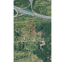Freizeitgrundstück - Garten - Erholungsfläche Pacht in Heidesheim - Ingelheim am Rhein Heidesheim am Rhein