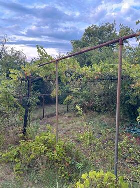 Foto - Grundst&uuml;ck zur Miete in Ingelheim am Rhein