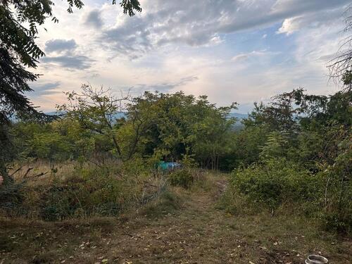 Foto - Grundst&uuml;ck in Ingelheim am Rhein zur Miete