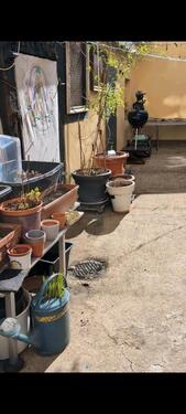 Foto - Etagenwohnung in Baunach zum Kaufen