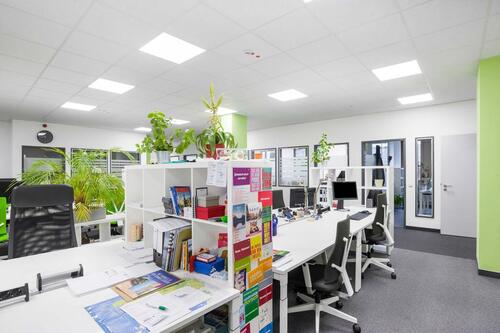 Foto - 