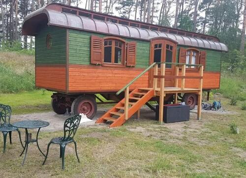 Foto - Zirkuswagen auf einer Waldlichtung