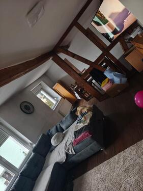 Foto - Etagenwohnung in Brücken zur Miete