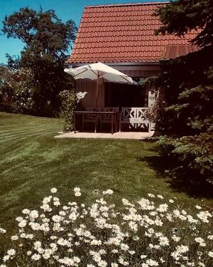 Foto - Ferienhaus am Tressower See in Mecklenburg-Vorpommern